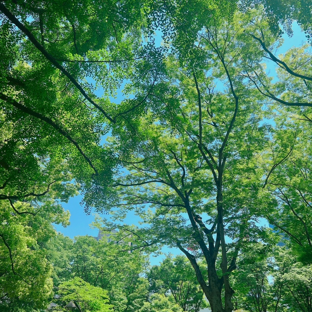 f:id:rei-tokyo:20230514124703j:image