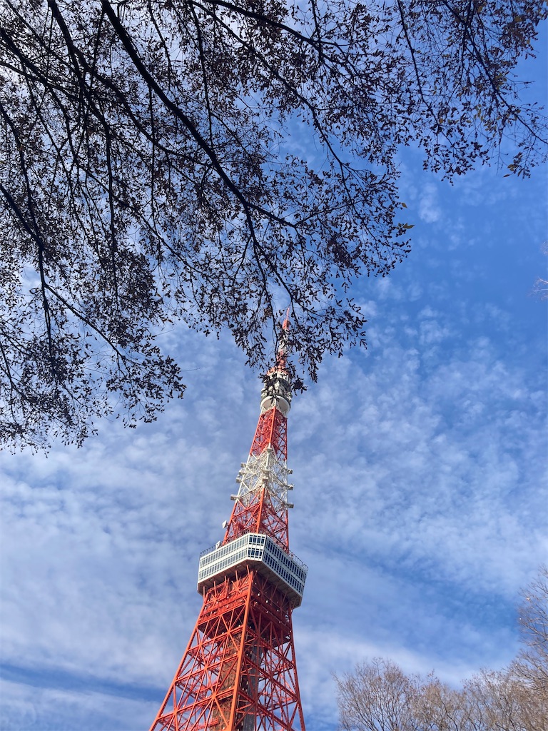 f:id:rei-tokyo:20240412195230j:image