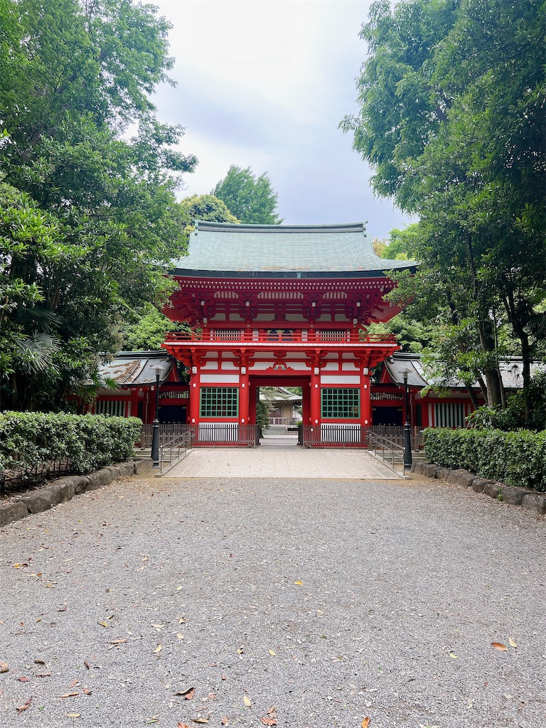 f:id:rei-tokyo:20240521170924j:image