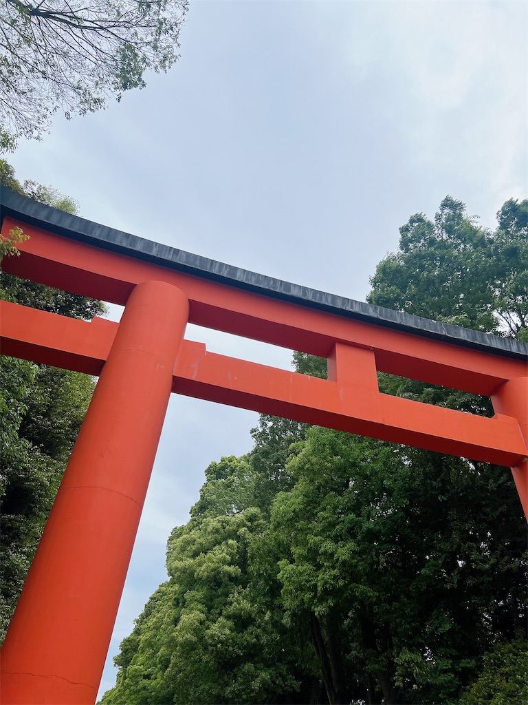 f:id:rei-tokyo:20240521170934j:image