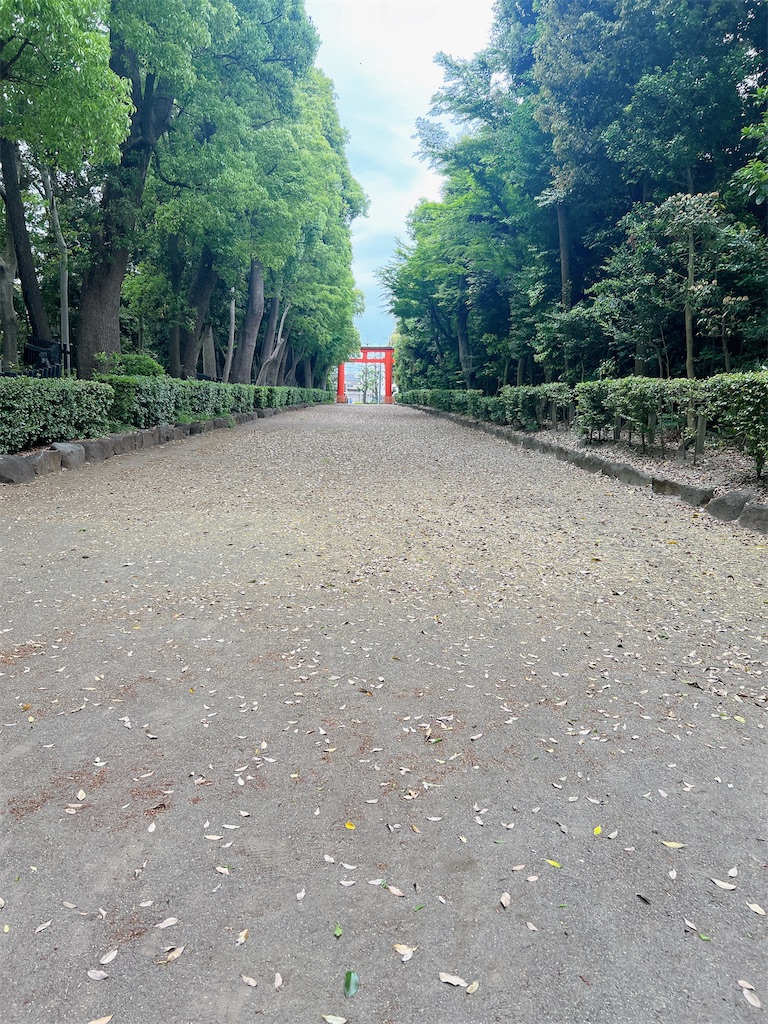 f:id:rei-tokyo:20240521170950j:image