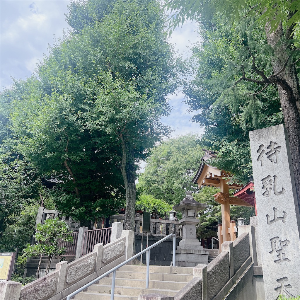 f:id:rei-tokyo:20240704001358j:image