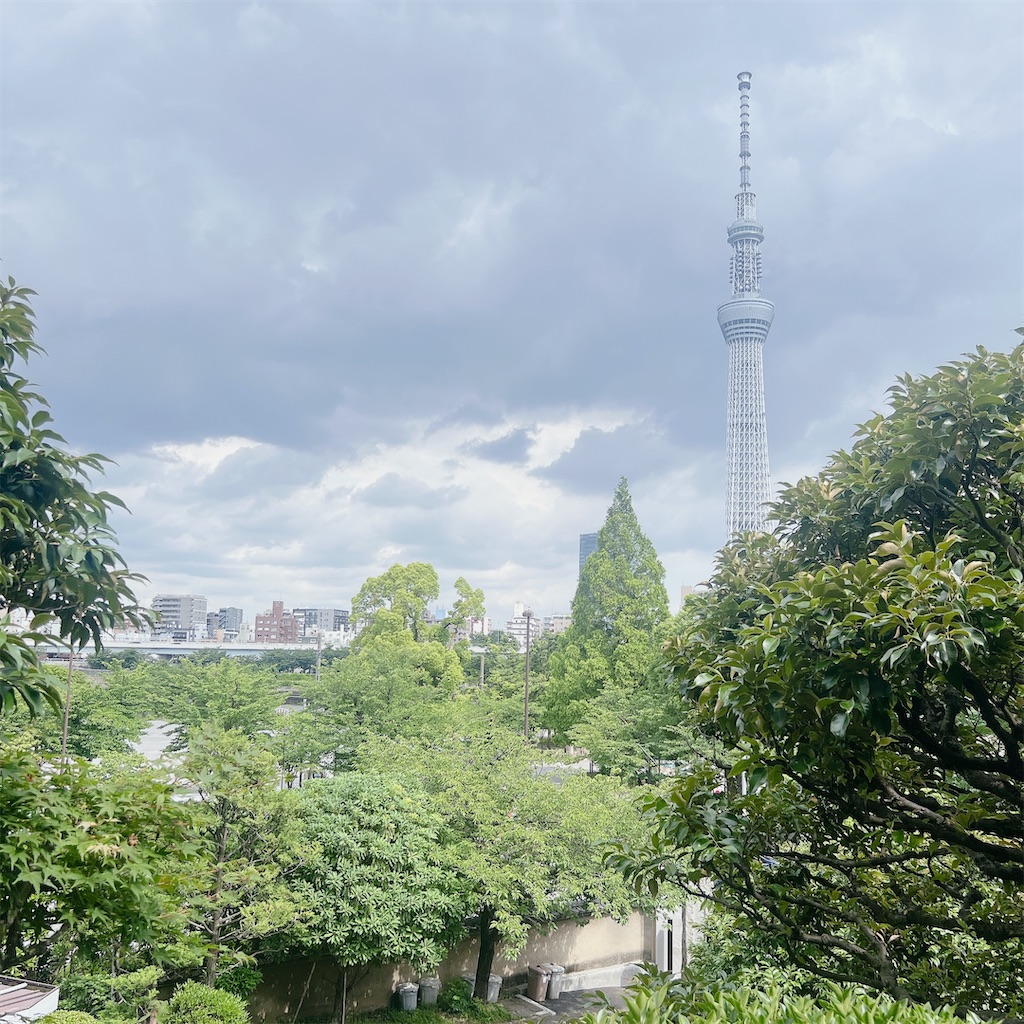 f:id:rei-tokyo:20240704001421j:image