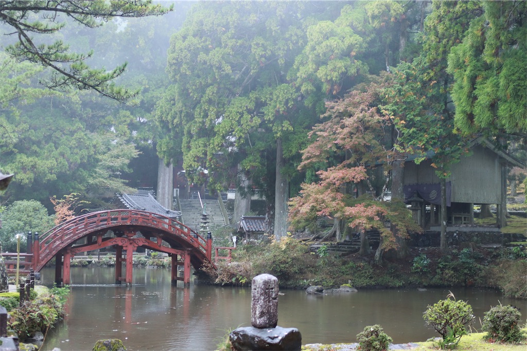 f:id:rei-tokyo:20241223152438j:image