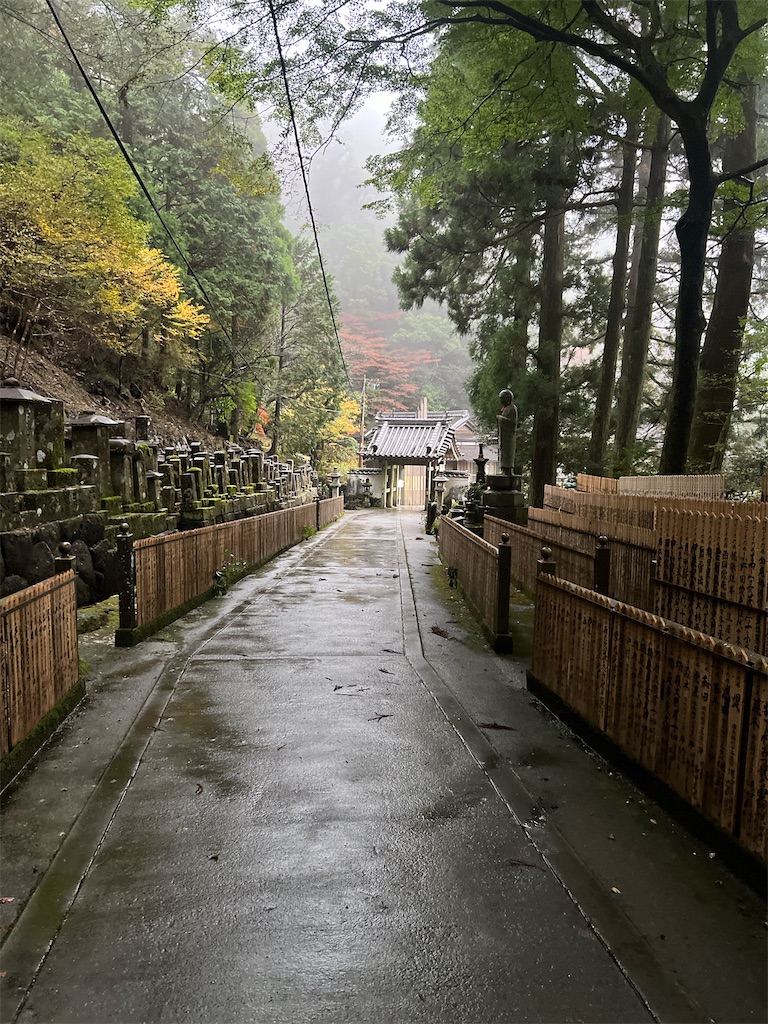 f:id:rei-tokyo:20241223153239j:image