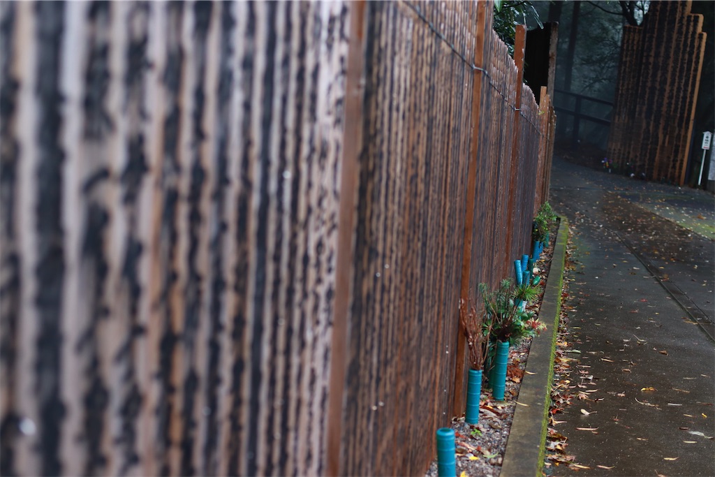 f:id:rei-tokyo:20241223153326j:image