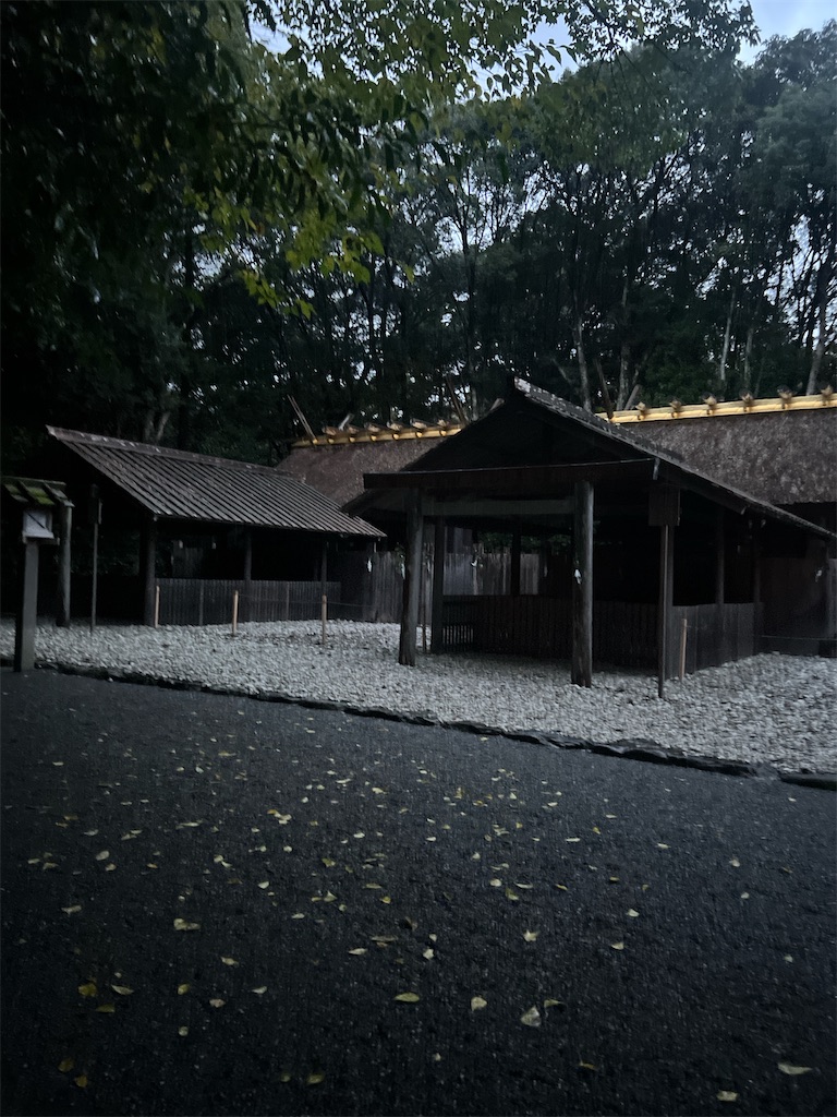 f:id:rei-tokyo:20241223160721j:image