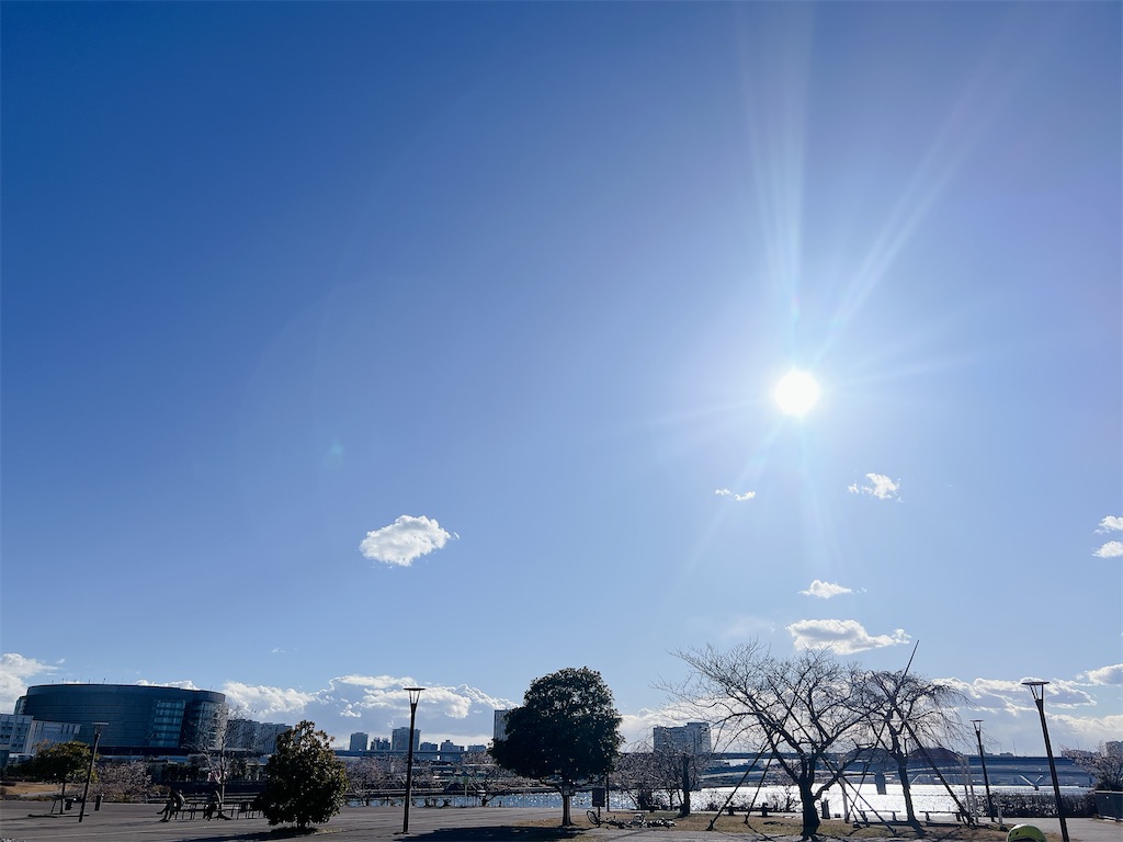 f:id:rei-tokyo:20250214160952j:image