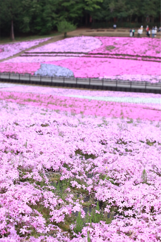 f:id:rei-tokyo:20250604163430j:image