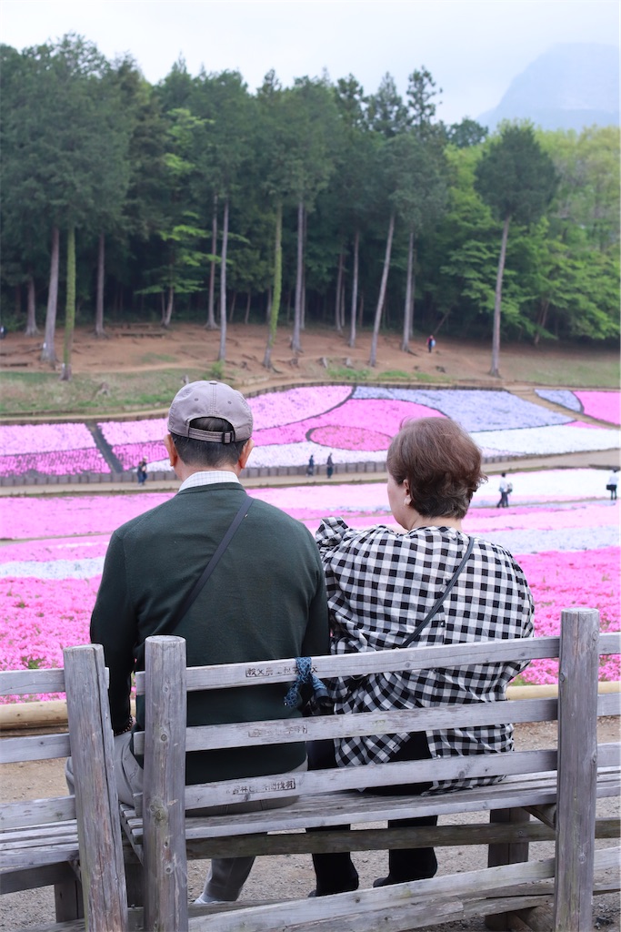 f:id:rei-tokyo:20250604163531j:image