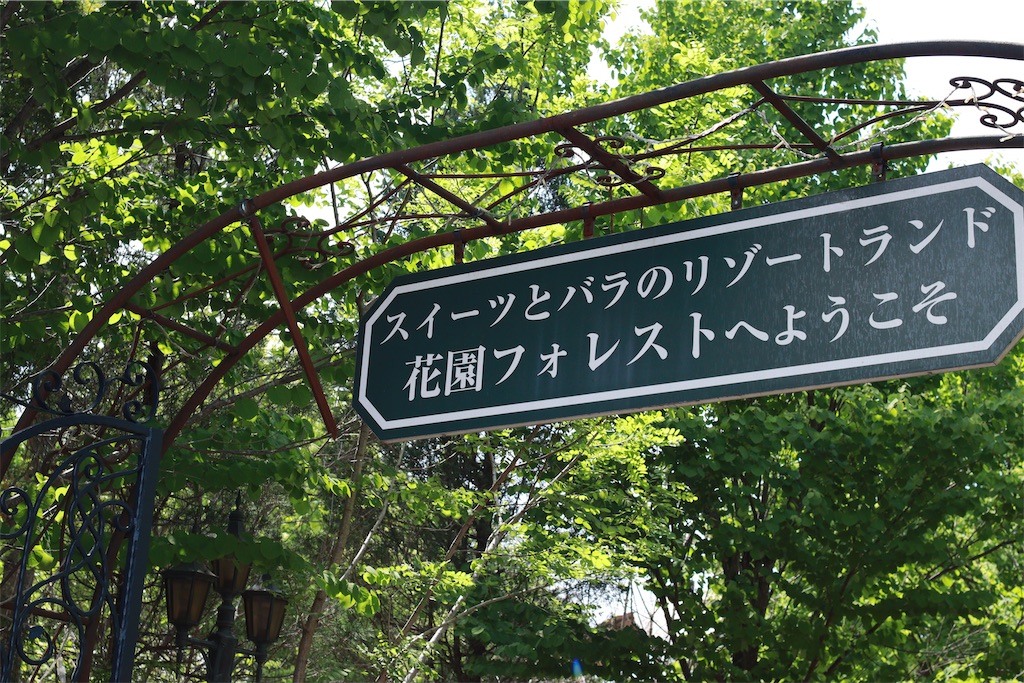 f:id:rei-tokyo:20250604171713j:image