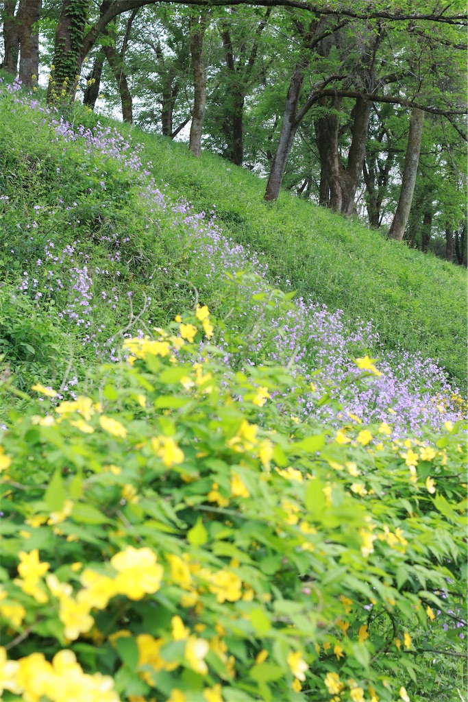 f:id:rei-tokyo:20250609094243j:image
