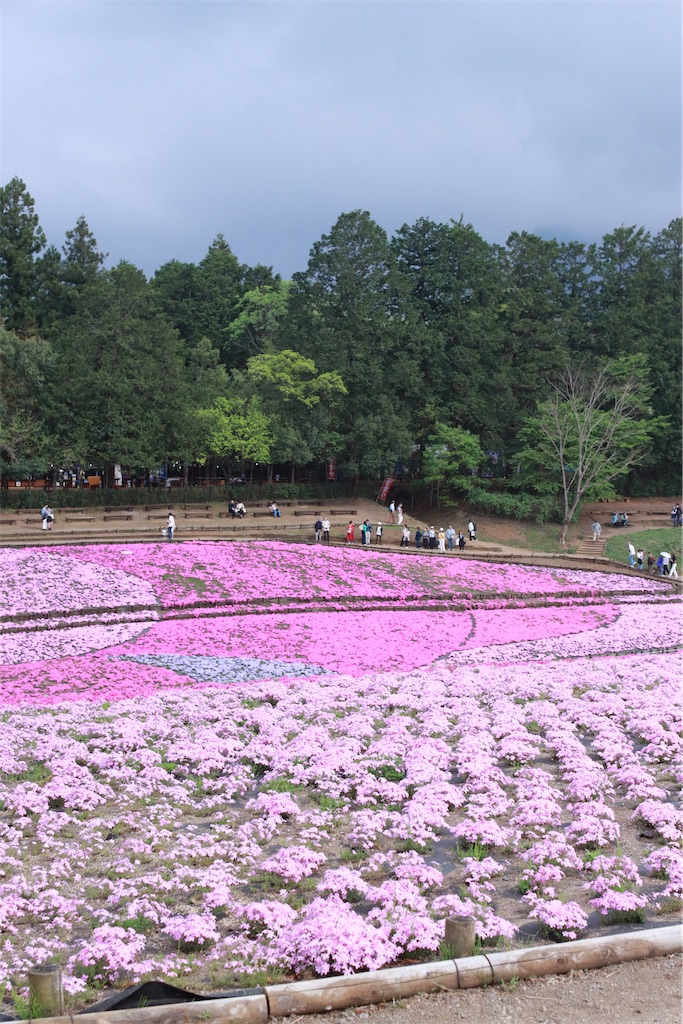 f:id:rei-tokyo:20250609115051j:image