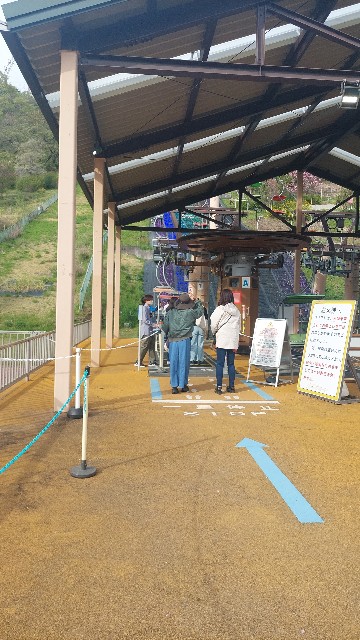 f:id:rei-tokyo:20250611214608j:image