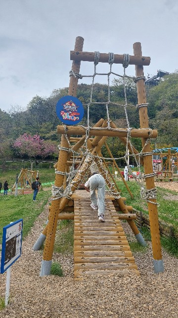 f:id:rei-tokyo:20250611220209j:image