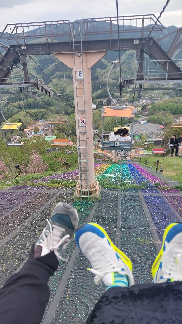 f:id:rei-tokyo:20250611220527j:image