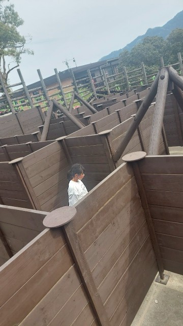f:id:rei-tokyo:20250611220640j:image