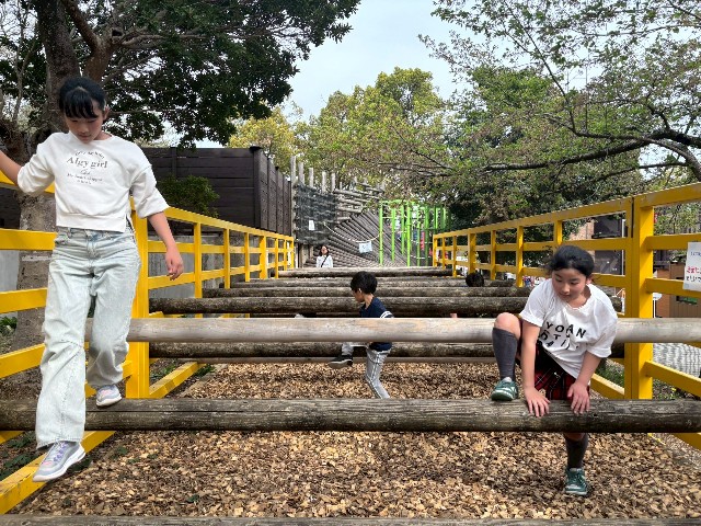 f:id:rei-tokyo:20250611220705j:image