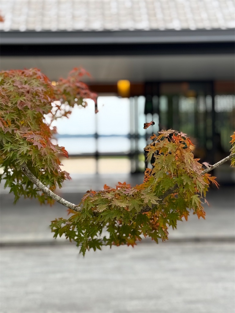 f:id:rei-tokyo:20251114014231j:image