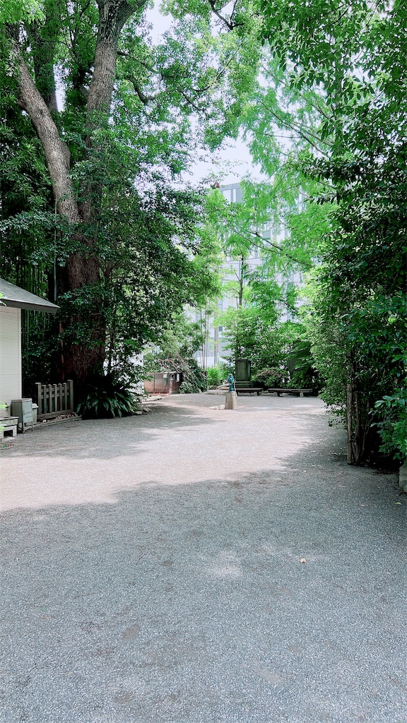 f:id:rei-tokyo:20260614090311j:image f:id:rei-tokyo:20260614090311j:image