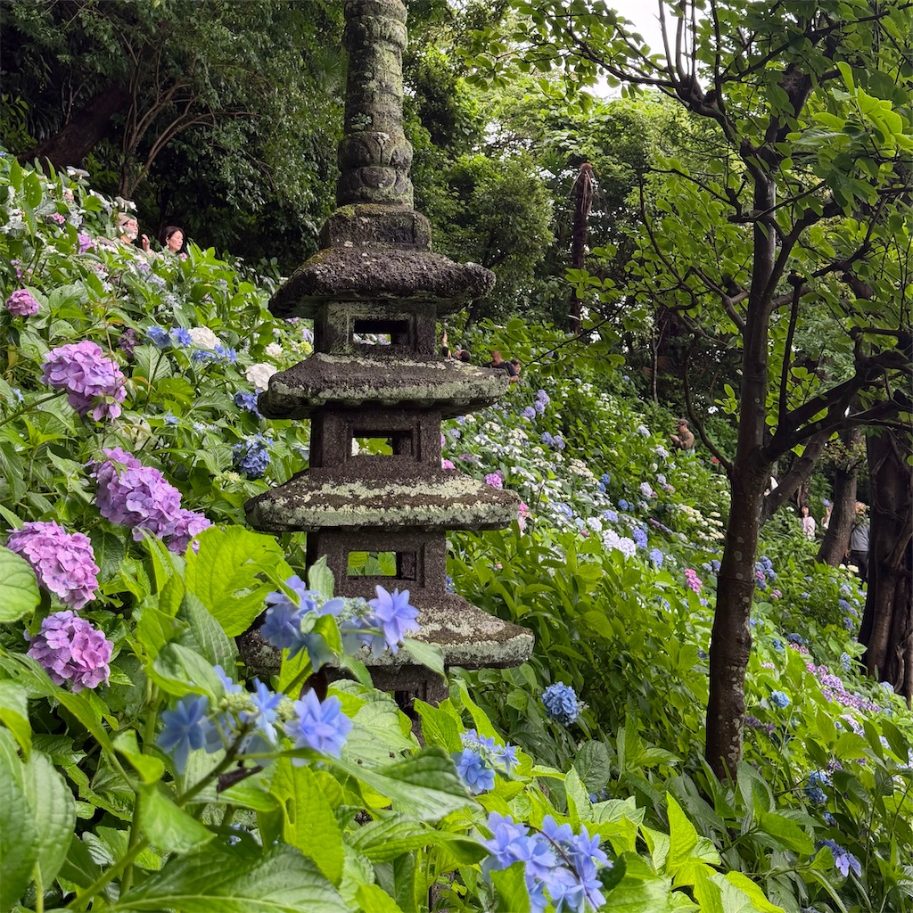 f:id:rei-tokyo:20260721104346j:image f:id:rei-tokyo:20260721104346j:image