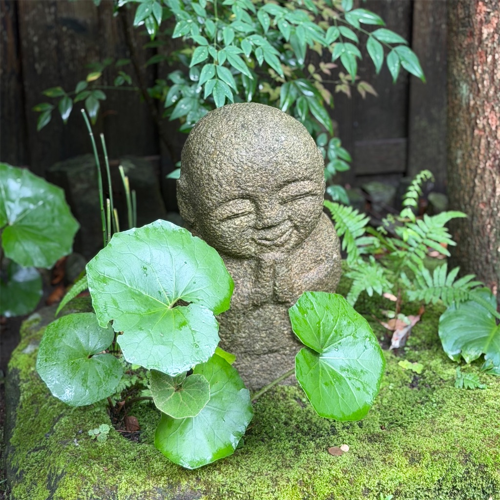 f:id:rei-tokyo:20260721104424j:image f:id:rei-tokyo:20260721104424j:image