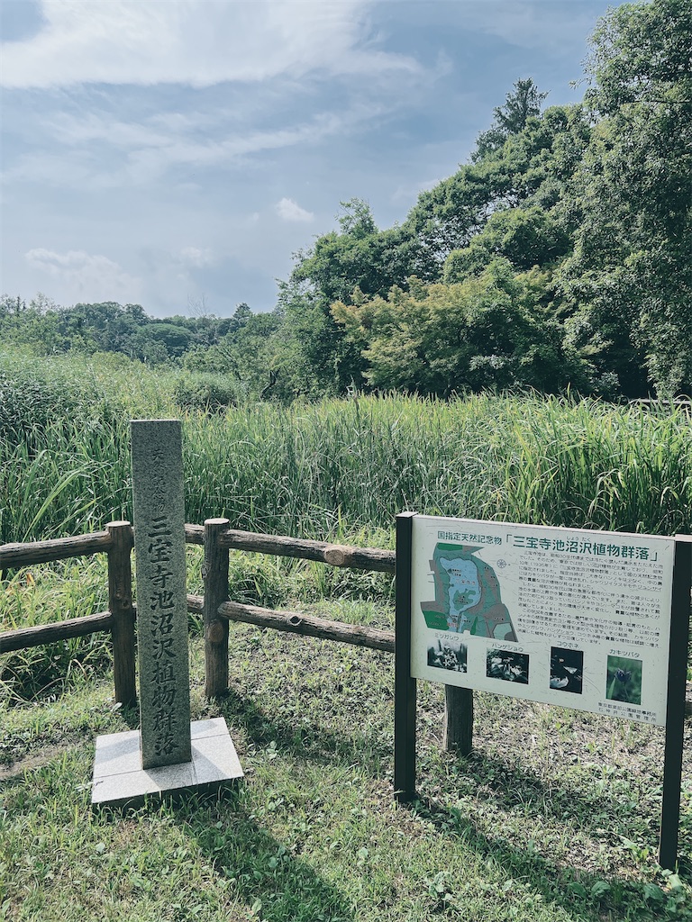 f:id:rei-tokyo:20260730091757j:image f:id:rei-tokyo:20260730091757j:image