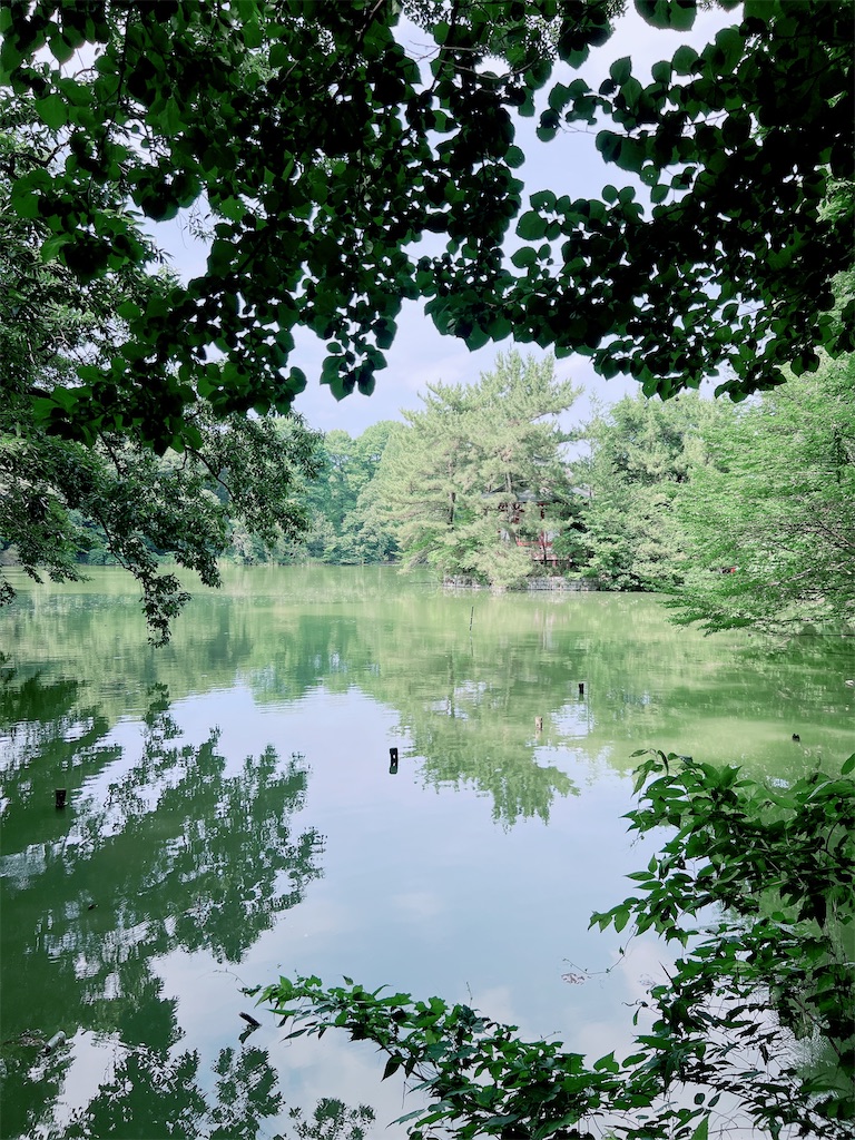f:id:rei-tokyo:20260730104044j:image f:id:rei-tokyo:20260730104044j:image