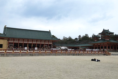 f:id:rei-wako:20200324192943j:plain f:id:rei-wako:20200324192943j:plain