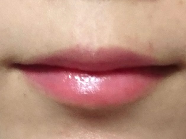 f:id:rei10181996:20190115124723j:plain