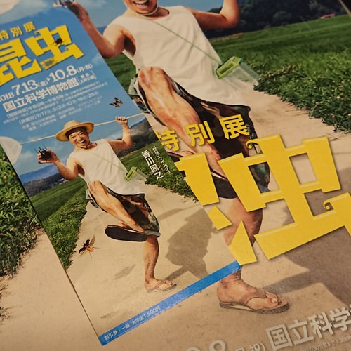f:id:rei_0109:20180722004112j:plain