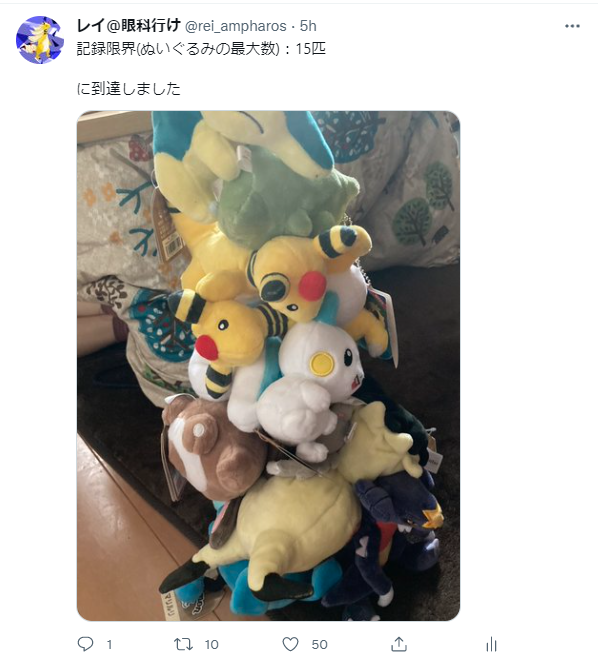 ポケモンぬいぐるみタワーバトルをしよう 冷蔵庫の酒瓶