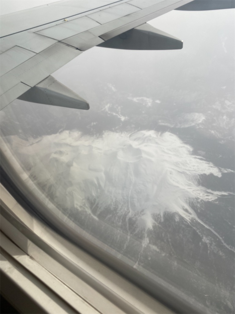 f:id:reiapapa:20200214110438j:image