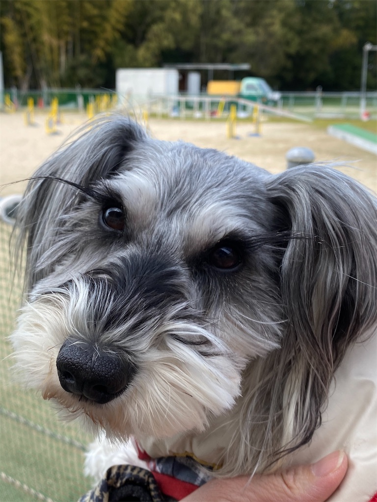 f:id:reiapapa:20200302100054j:image