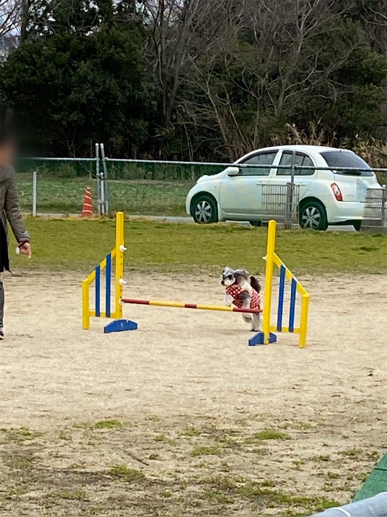 f:id:reiapapa:20200302101544j:image