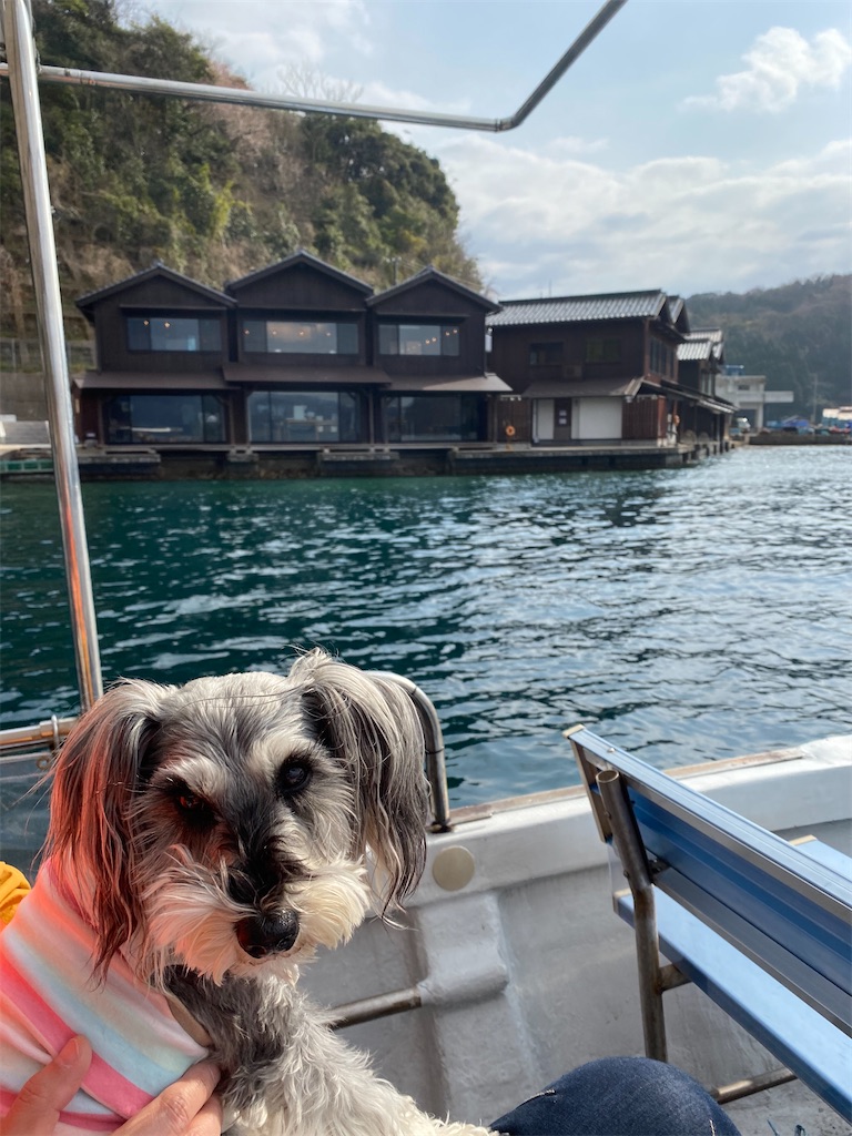 f:id:reiapapa:20200322182206j:image