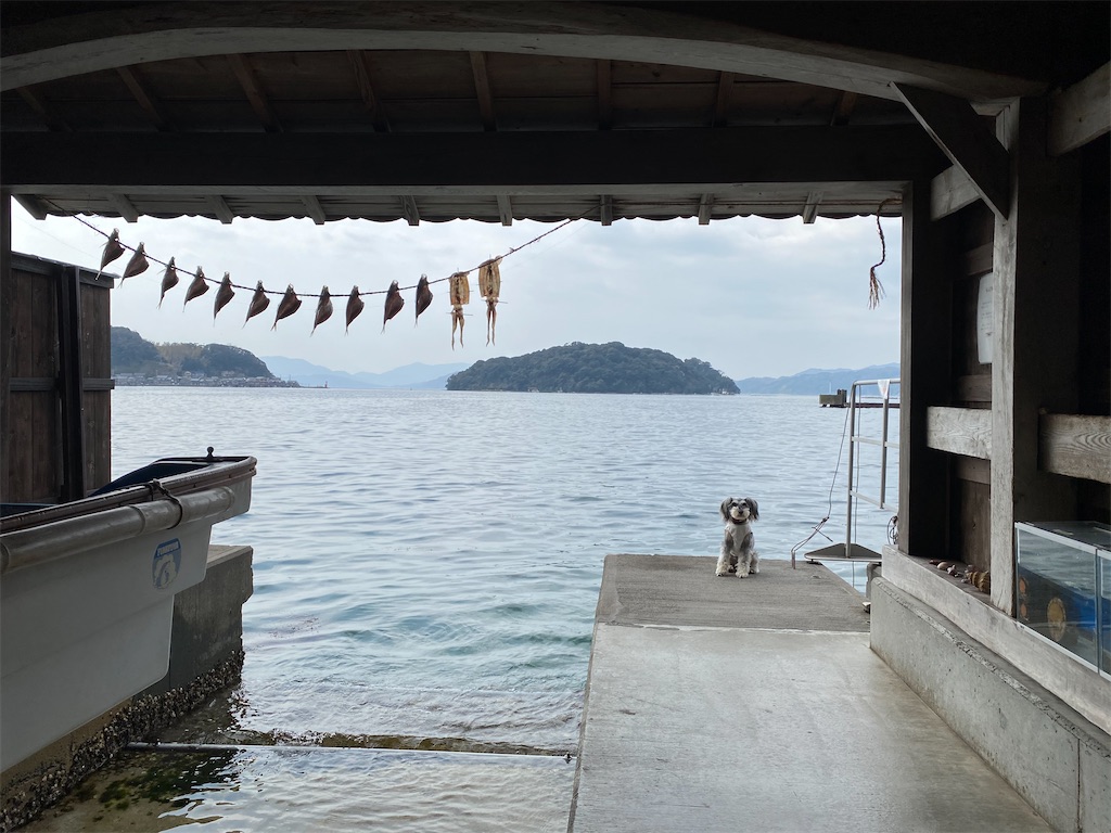 f:id:reiapapa:20200322183123j:image