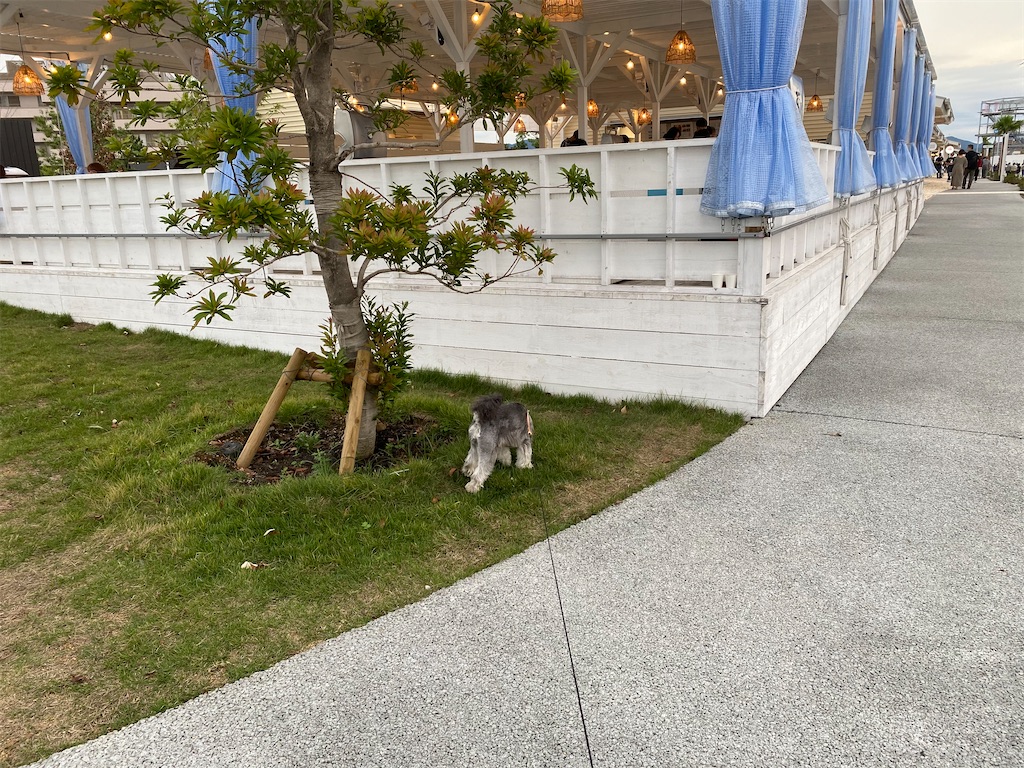 f:id:reiapapa:20200914173410j:image