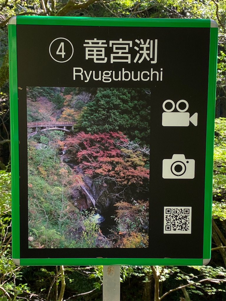 f:id:reiapapa:20200922164735j:image