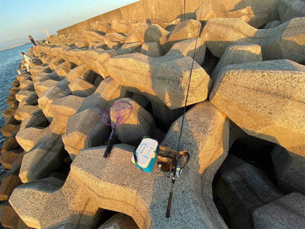 f:id:reiapapa:20201004104007j:image