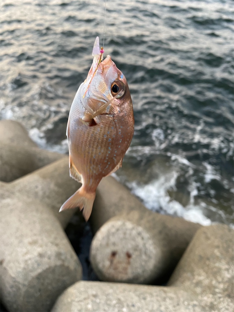 f:id:reiapapa:20201014190553j:image