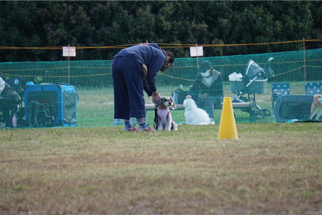 f:id:reiapapa:20201103135153j:image