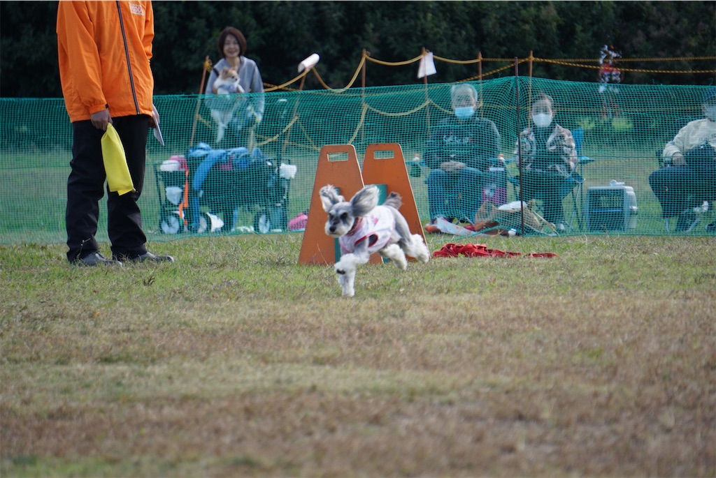 f:id:reiapapa:20201103135619j:image