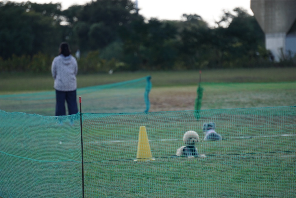 f:id:reiapapa:20201103140321j:image