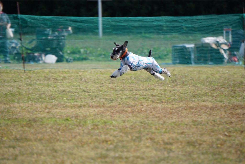 f:id:reiapapa:20201103215948j:image