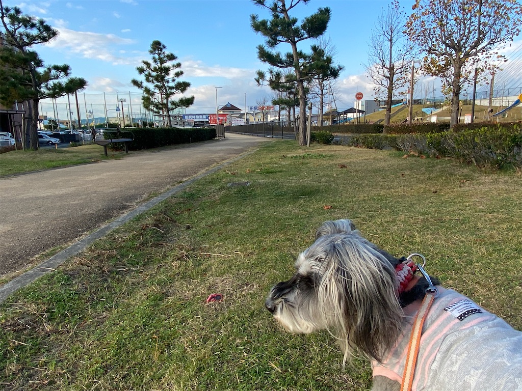 f:id:reiapapa:20201129105753j:image