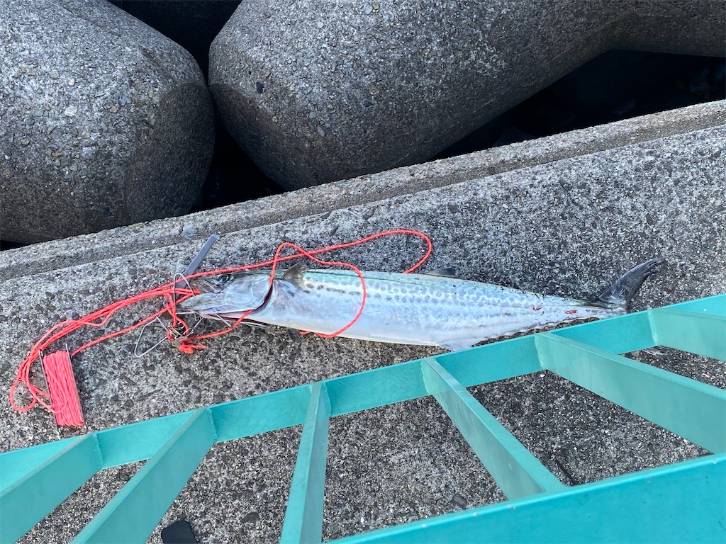 f:id:reiapapa:20201213091954j:image