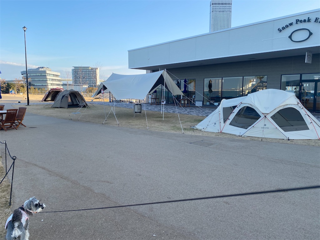 f:id:reiapapa:20201213093248j:image