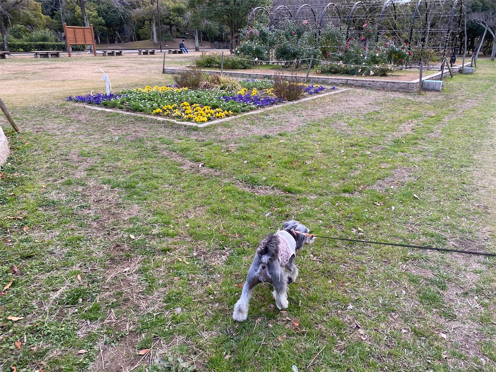 f:id:reiapapa:20201228120225j:image