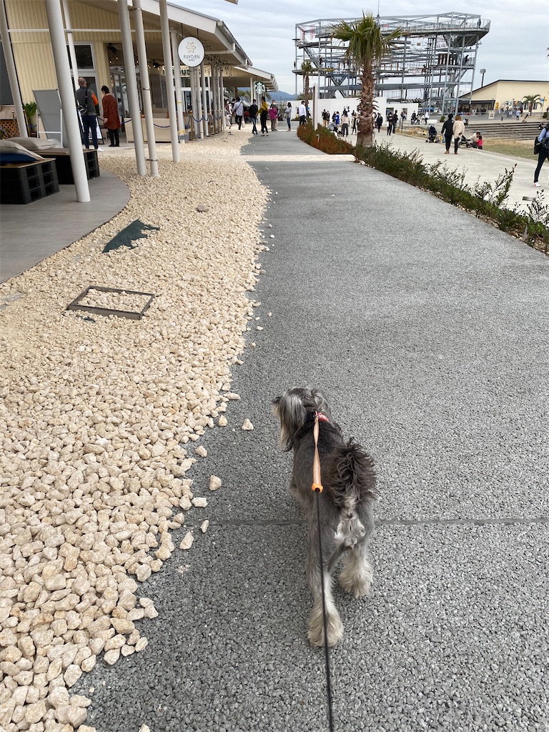 f:id:reiapapa:20210320165908j:image